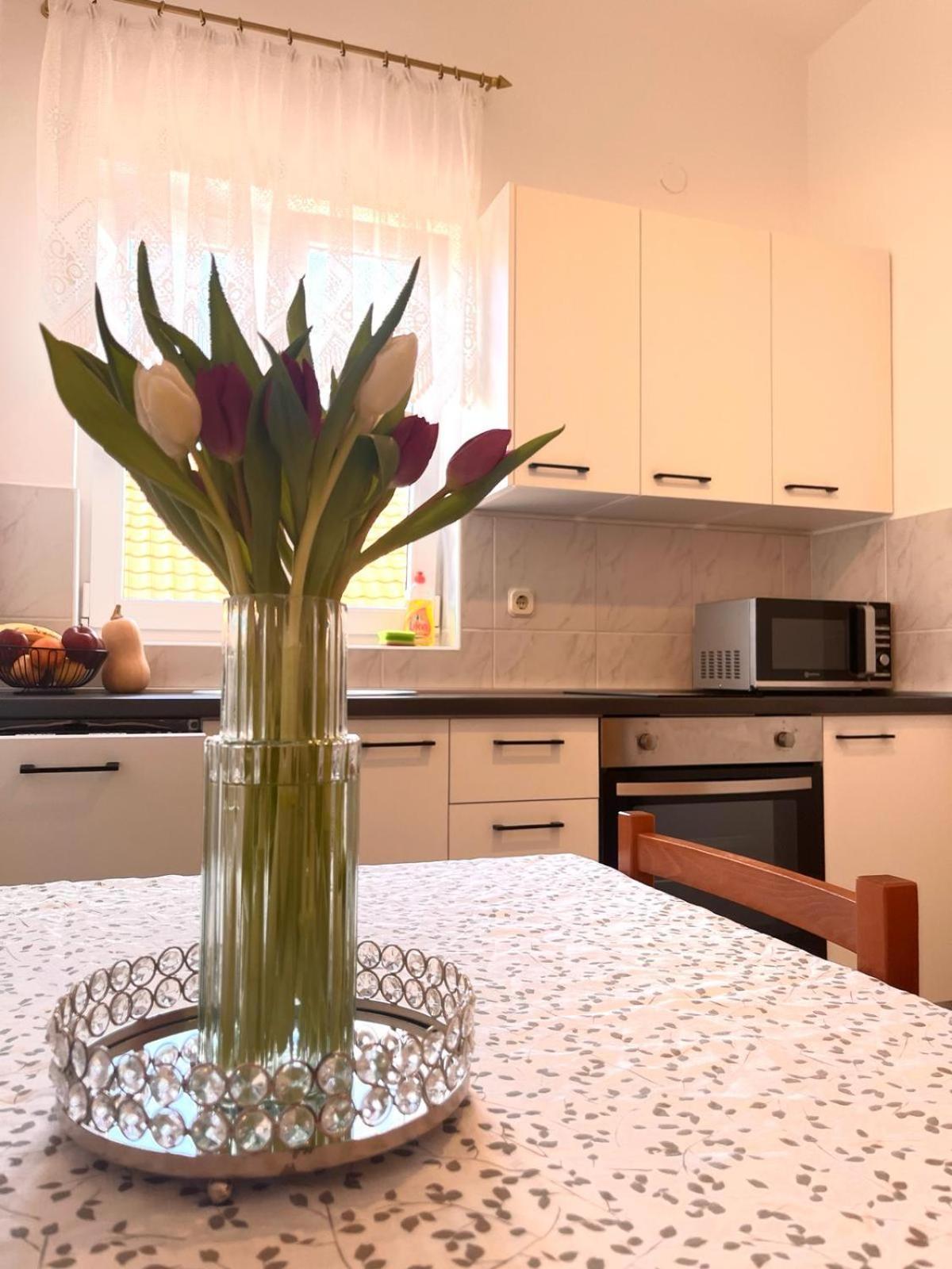 Family Holiday Apartments Lucia Водице Екстериор снимка